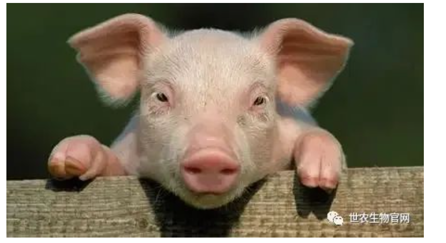 1690106251448541.png image.png